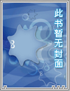 明朝风云·双面龙凤
